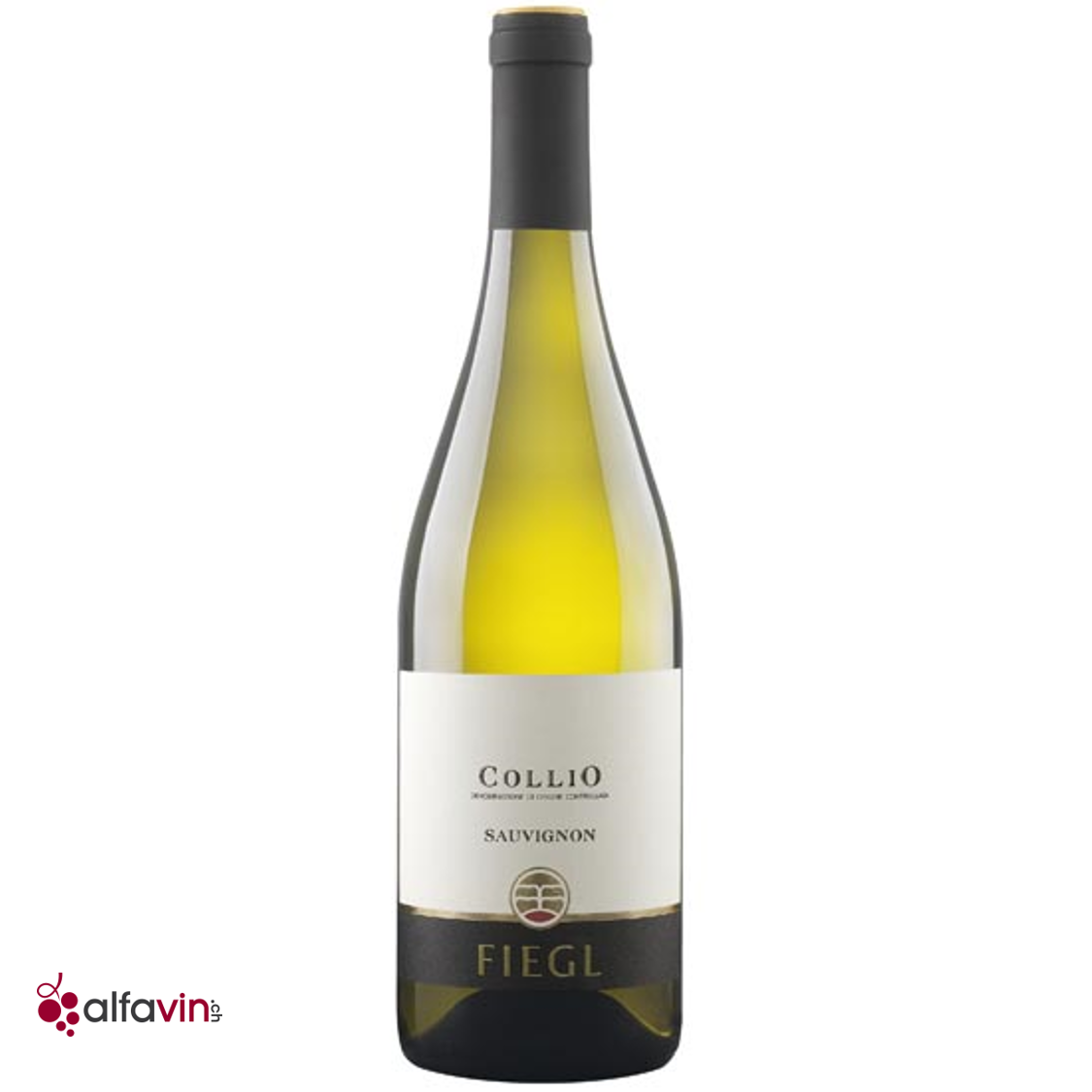 Sauvignon Blanc 2022, Fiegl, Collio DOC, italienischer Weißwein aus dem  Friaul