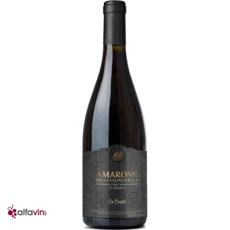 Amarone Ca'Coato Antolini 2019 - Red wine from Italy