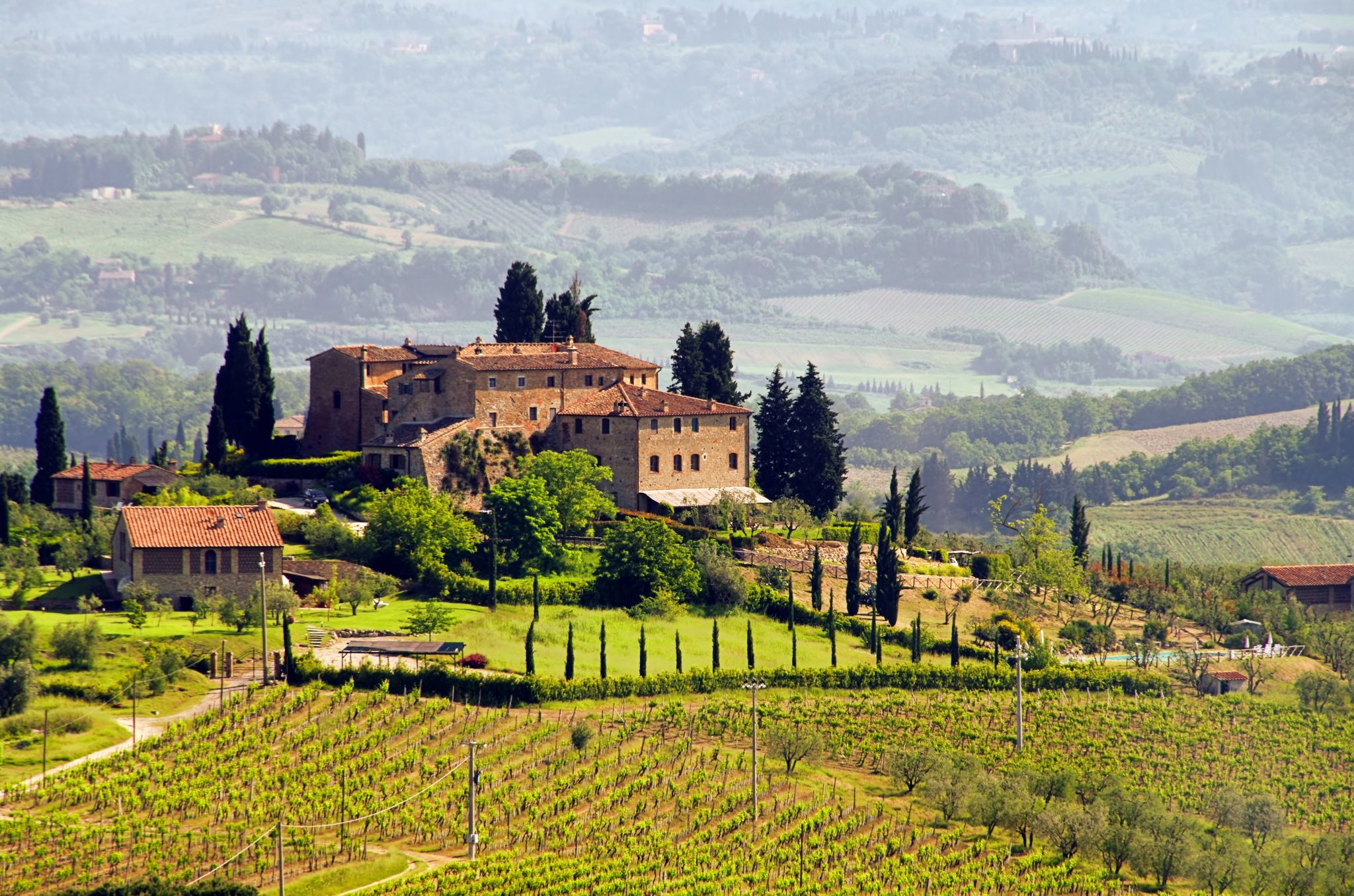 DOCG italian wines