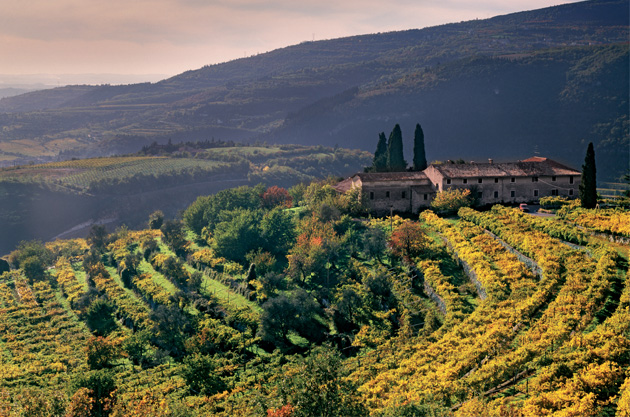 Conseils vieux vins Amarone