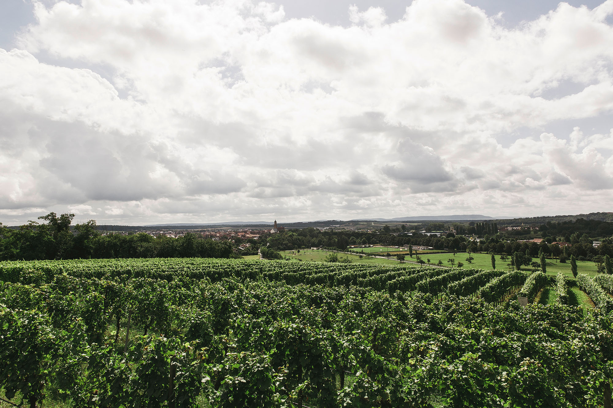 Welche sind die Weinregionen Italiens?