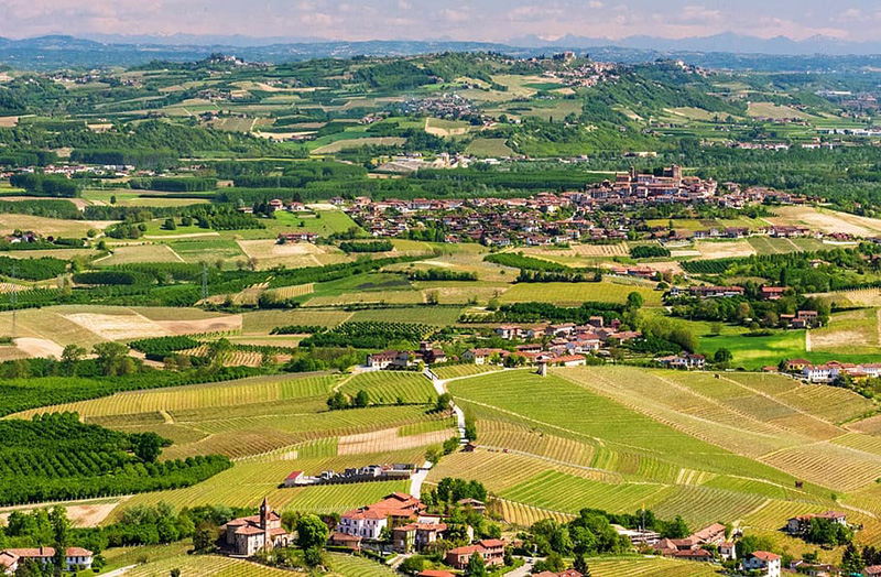 Comment est produit le Barolo ?