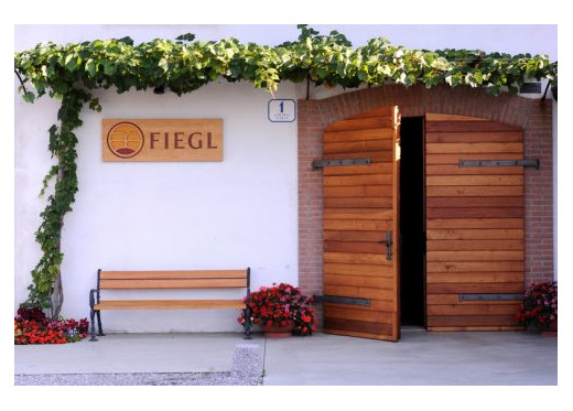 Fiegl, winemaker from Friuli