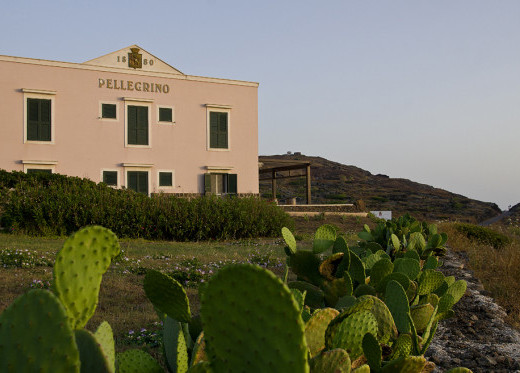 Pellegrino, winemaker from Sicily