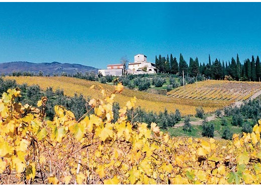 Masi Renzo, producteur de vins de Toscane