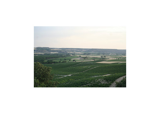 Hacienda Monasterio, Winzer aus Ribera del Duero