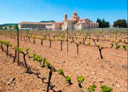 Aalto Bodegas y Vinedos, producteur de vins de Ribera del Duero