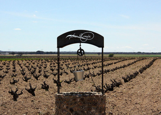 San Roman Bodegas, winemaker from Toro