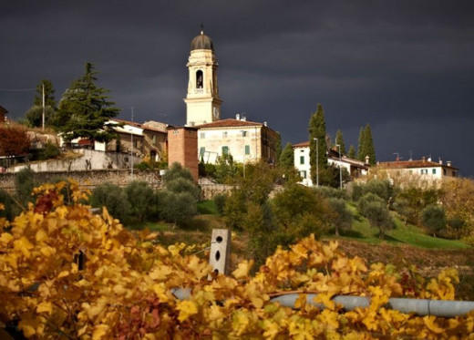 Cesari, producteur de vins de Vénétie