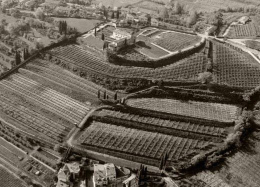 Cesari, producteur de vins de Vénétie