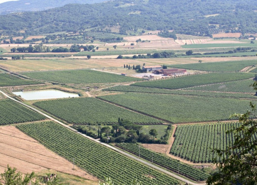 Fertuna, winemaker from Tuscany