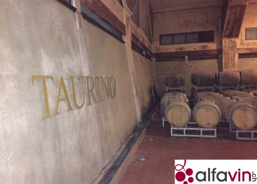 Taurino, Winzer aus Apulien