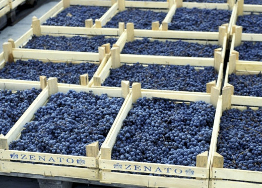 Zenato, producteur de vins de Vénétie