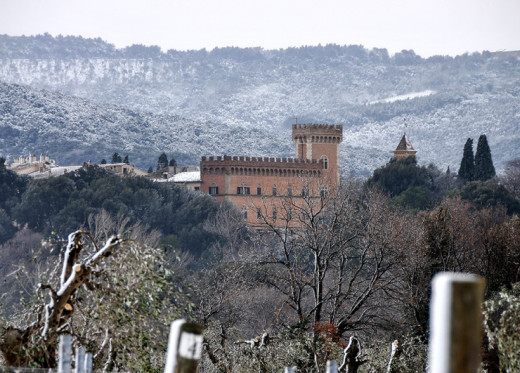 Castello di Bolgheri, winemaker from Tuscany