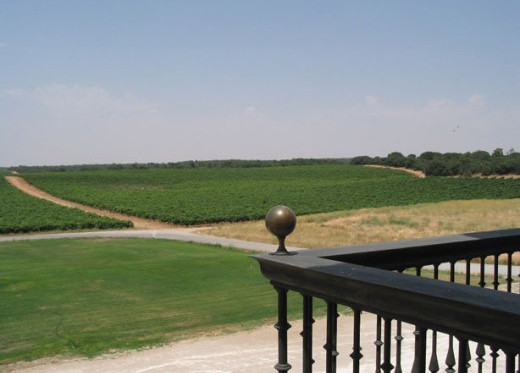 Real Sitio de Ventosilla, producteur de vins de Ribera del Duero